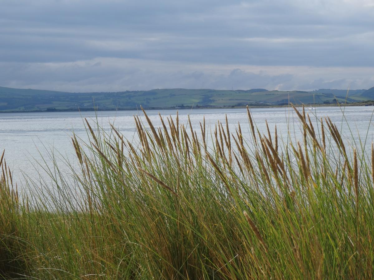 Bed and Breakfast Awel Y Mor Aberdyfi Exterior foto