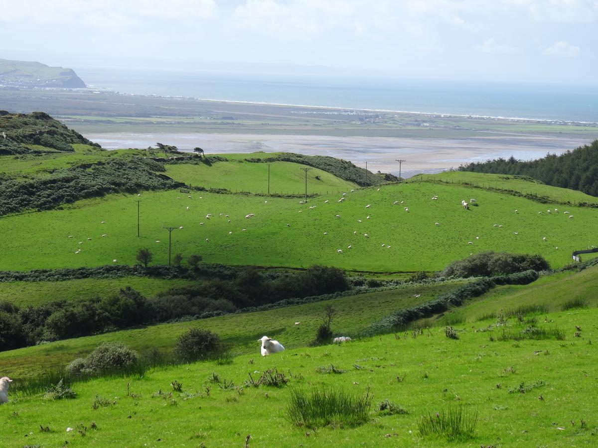 Bed and Breakfast Awel Y Mor Aberdyfi Exterior foto